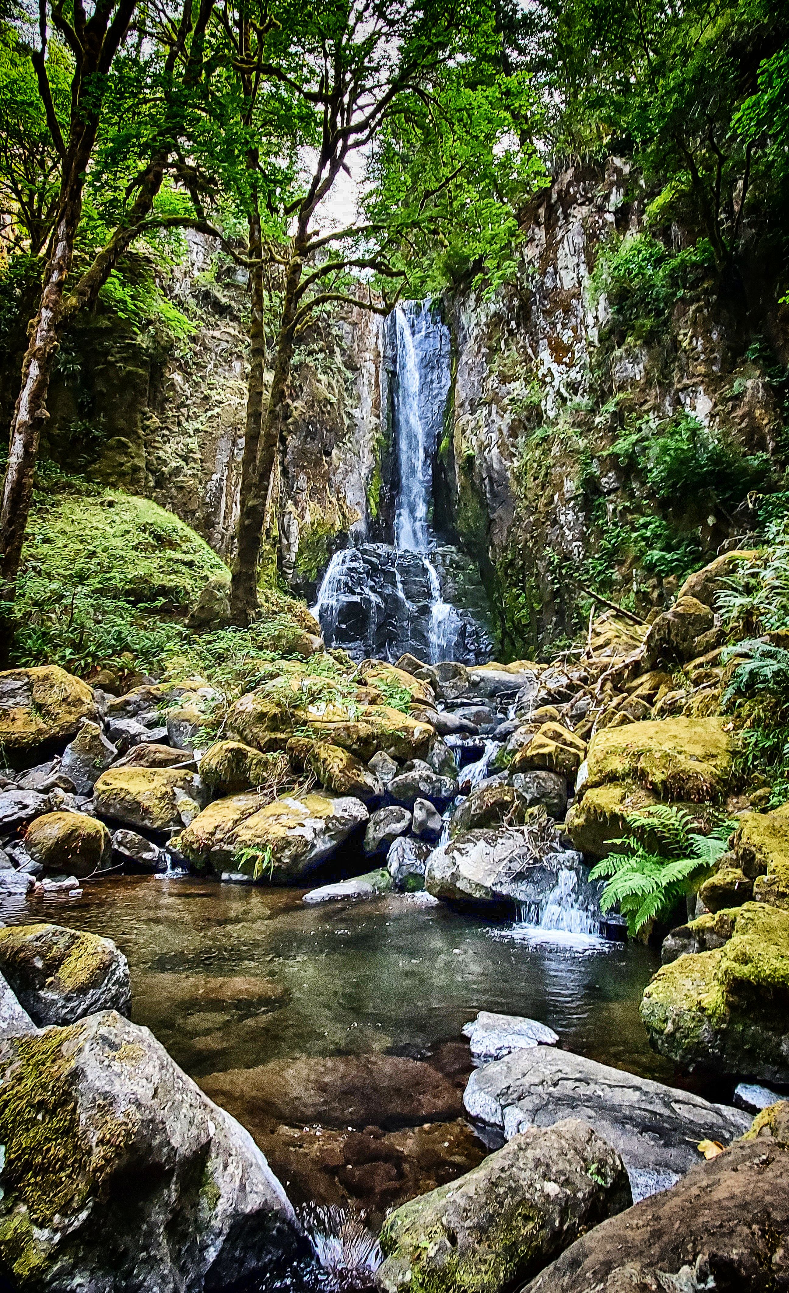 Lower Kentucky Falls